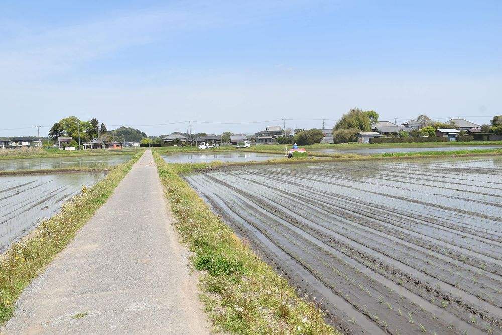 新生活