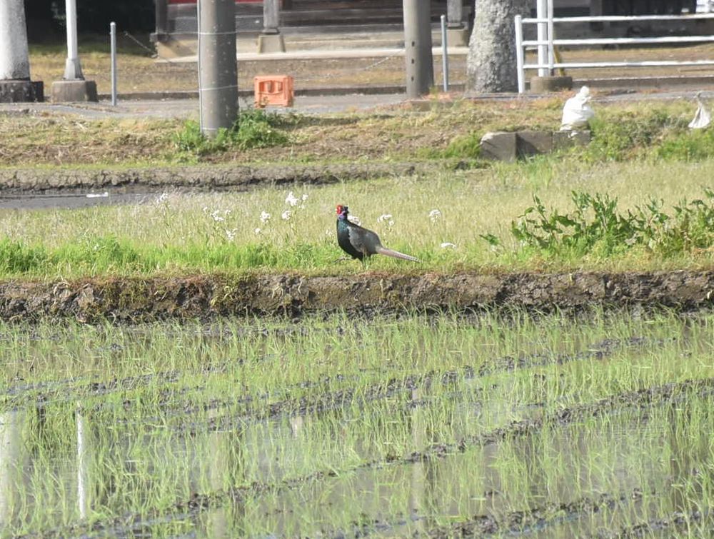 新生活