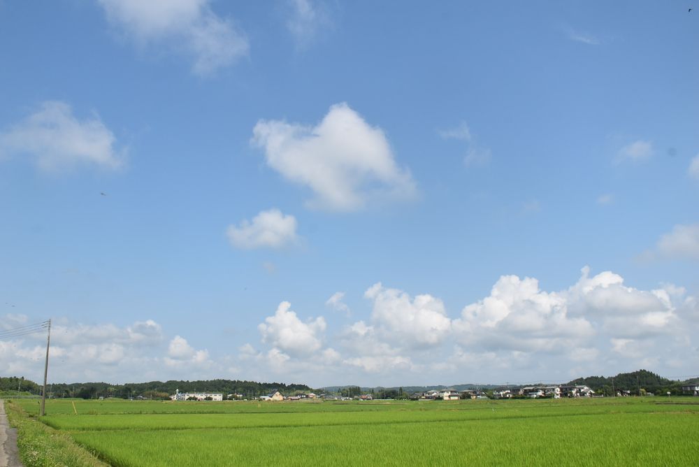 新生活